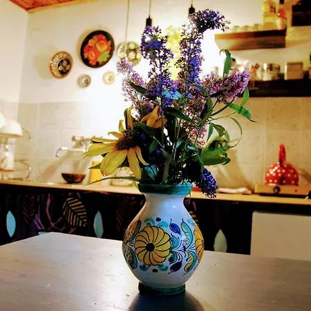 Apartamento Csigaház